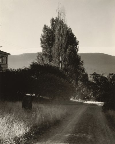  de Alfred Stieglitz