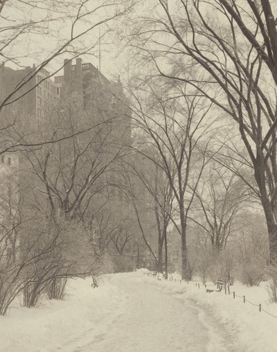 En el parque de Alfred Stieglitz