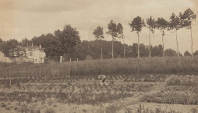  de Alfred Stieglitz