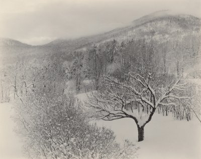  de Alfred Stieglitz