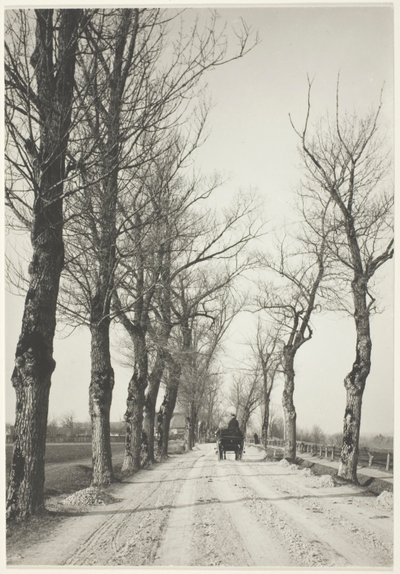 Días de noviembre de Alfred Stieglitz