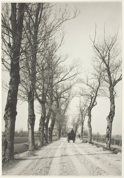 Días de noviembre, 1887, impreso 192039 de Alfred Stieglitz