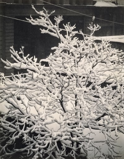 Fuera de la ventana - 291 - N.Y. de Alfred Stieglitz