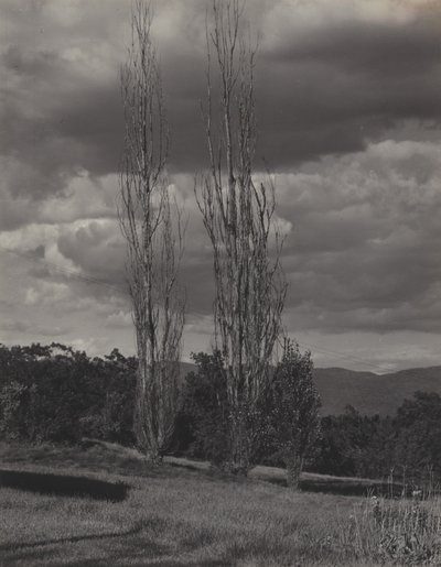  de Alfred Stieglitz