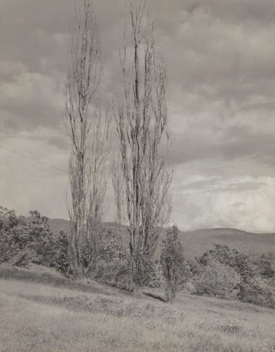  de Alfred Stieglitz