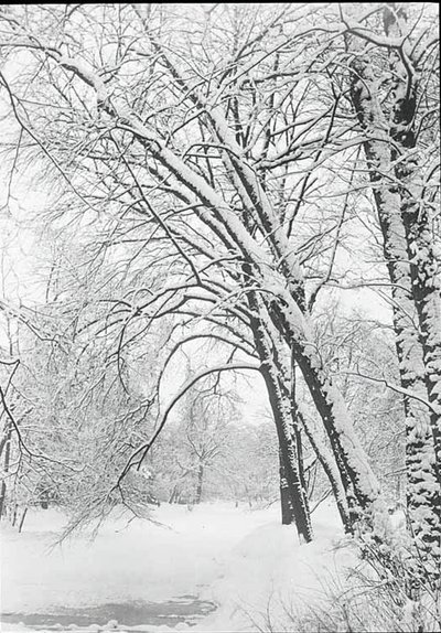 Paisaje nevado, Berlín, 188892 de Alfred Stieglitz