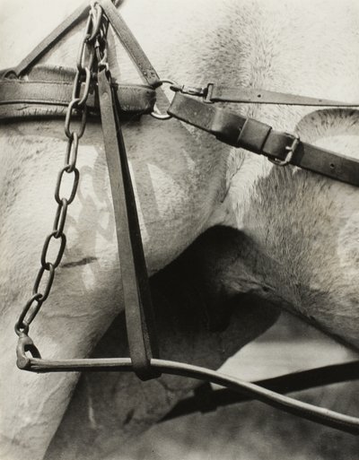 América espiritual: Canciones del cielo A1 de Alfred Stieglitz
