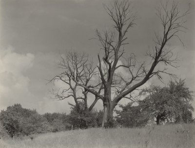  de Alfred Stieglitz