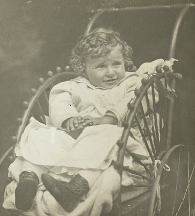 Sin título Howard Schubart en carruaje, 1893 de Alfred Stieglitz
