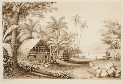 Tumbas en la isla Muthuata, Fiyi de Alfred Thomas Agate