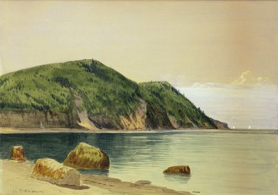 Rocky Shore (acuarela sobre tabla) de Alfred Thompson Bricher