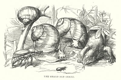  de Alfred Walter (after) Bayes