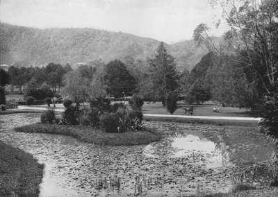 Jardines de Hakgalla desde el estanque de loto, Nuwara Eliya, c1890, 1910 de Alfred William Amandus Plate