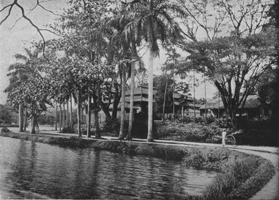 Kandy - Un rincón pintoresco del lago, c. 1890, 1910 de Alfred William Amandus Plate