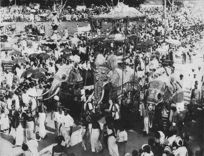 Elefante sagrado en la procesión Perahera, Kandy, Ceilán, c1890, 1910 de Alfred William Amandus Plate