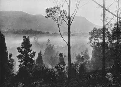 La niebla de la mañana temprano levantándose en Nuwara Eliya, c1890 de Alfred William Amandus Plate