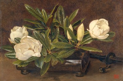 Magnolias, 1867-1920 de Alfred William Parsons