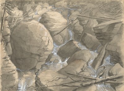 Descendiendo el Aguasnegras de Alfred Wordsworth Thompson