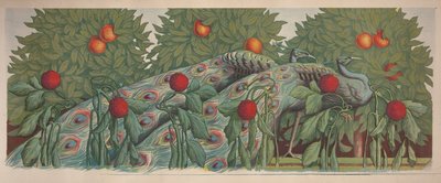 Los pavos reales, 1903 de Alfredo Müller