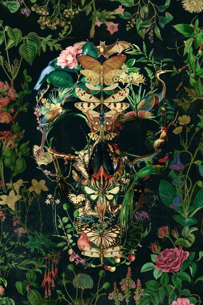 Calavera de naturaleza oscura de Ali Gulec