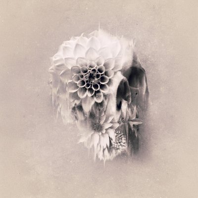Calavera floral etérea de Ali Gulec