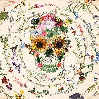 Calavera floral llena de color de Ali Gulec