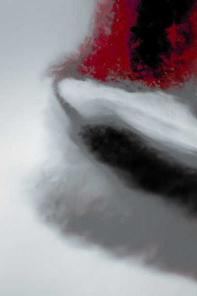 Misión, de la serie Misionero, 2019 (fotografía) de Alice Gur-Arie