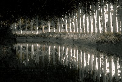 Rendering, 2018 (fotografía repintada a mano) de Alice Gur-Arie