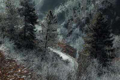 El camino de Milán, 2018 (fotografía pintada a mano) de Alice Gur-Arie