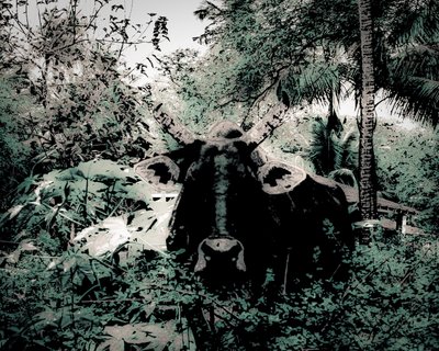 The Lodge Near Periyar, 2020 (fotografía pintada) de Alice Gur-Arie