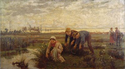 Cortadores de Juncos de Alice Havers