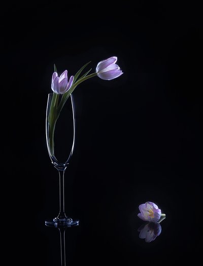  de Alice Sheng