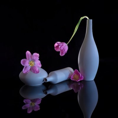  de Alice Sheng