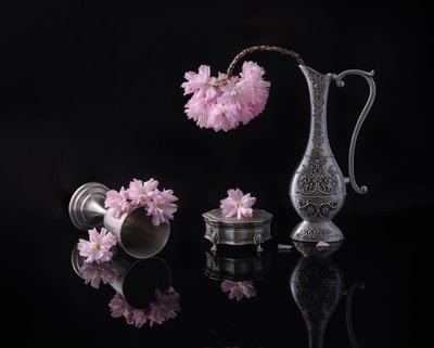  de Alice Sheng