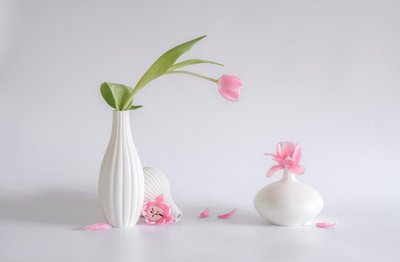  de Alice Sheng