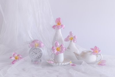 de Alice Sheng
