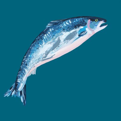 El salmón azul saltador de Alice Straker