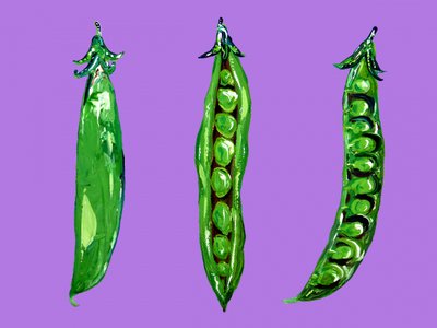 Guisantes verdes intensos de Alice Straker