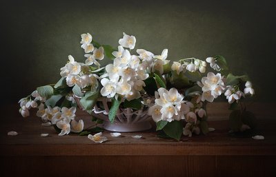  de Alina Lankina