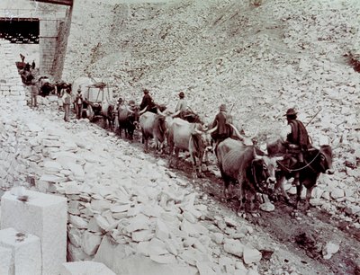 Escena que muestra bloques de mármol siendo transportados desde una cantera en Carrara. El carro es tirado por diez bueyes de Fratelli Alinari