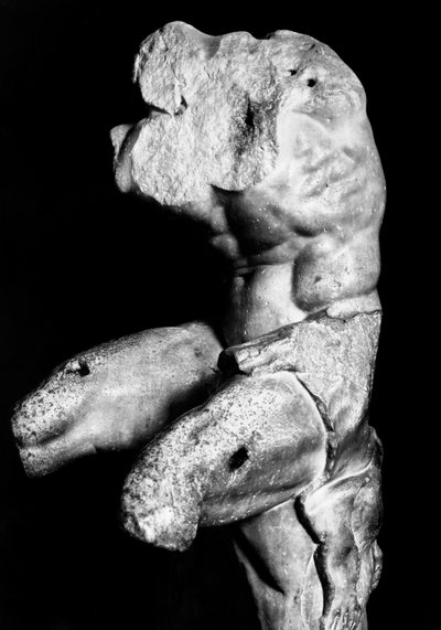 El Torso Belvedere por Apollonios de Néstor, c.1890 (foto en blanco y negro) de Fratelli Alinari