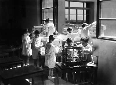 Villa Rosa Maltoni Mussolini: estudiantes observando pájaros enjaulados de Fratelli Alinari