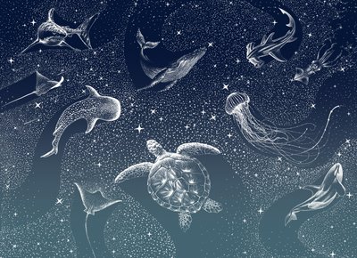 Vida marina celestial de Alirıza ÇAKIR