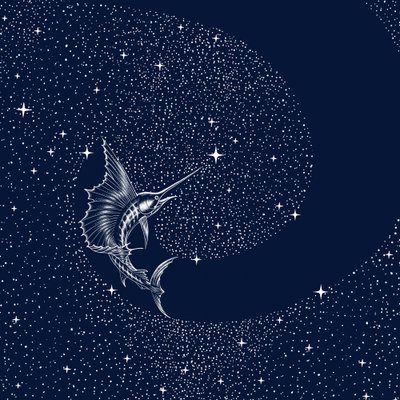 Pez vela celestial de Alirıza ÇAKIR