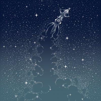 El vuelo del calamar celestial de Alirıza ÇAKIR