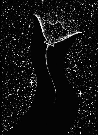 Manta cósmica de Alirıza ÇAKIR