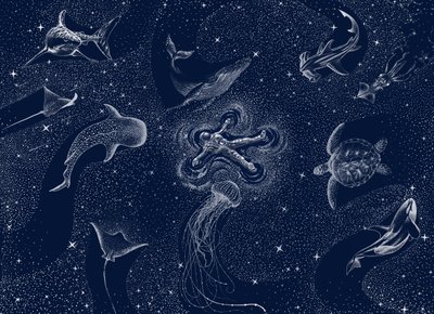 Sueño del océano cósmico de Alirıza ÇAKIR