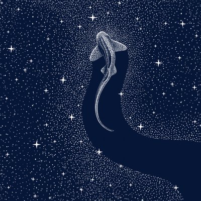 Tiburón Cósmico de Alirıza ÇAKIR