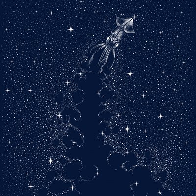 El ascenso del calamar cósmico de Alirıza ÇAKIR