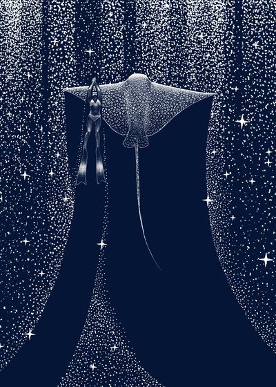 Compañero de Starlit Ray de Alirıza ÇAKIR